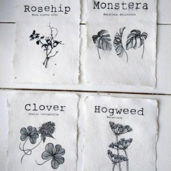 Op de Maalzolder - Kaarten Botanical (set van 4 stuks)