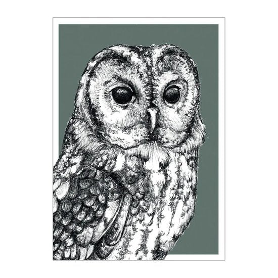 BDdesigns - Kaart Wildlife Uil