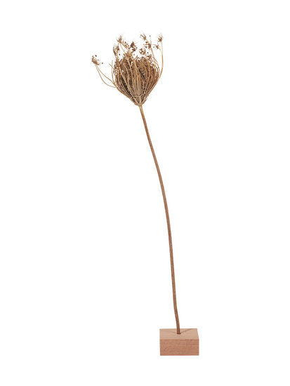 Mijn Stijl houten droogbloemhouder S 4,5 × 4,5 × 2 cm