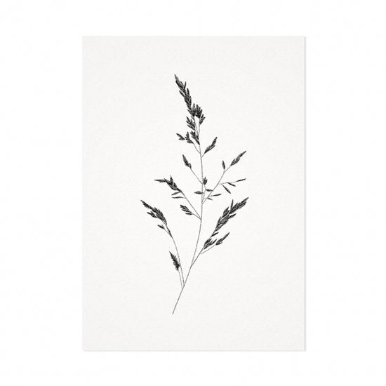 Mélisse - Kaart Het beemdgras