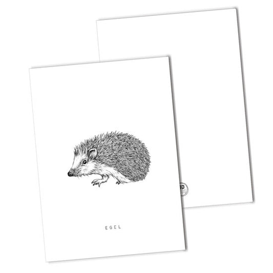 BDdesigns - Kaart Egel