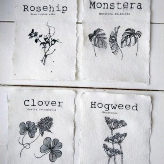 Op de Maalzolder - Kaarten Botanical (set van 4 stuks)