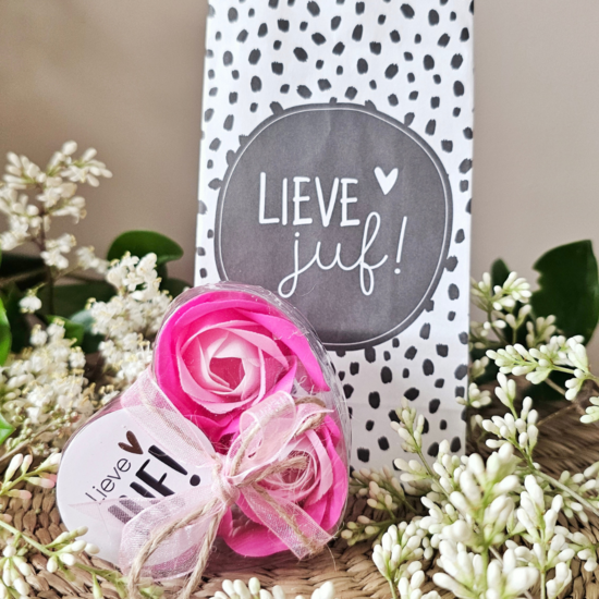 DistelRoos - Zeepbloemen Cotton candy, set van 3 - Lieve juf