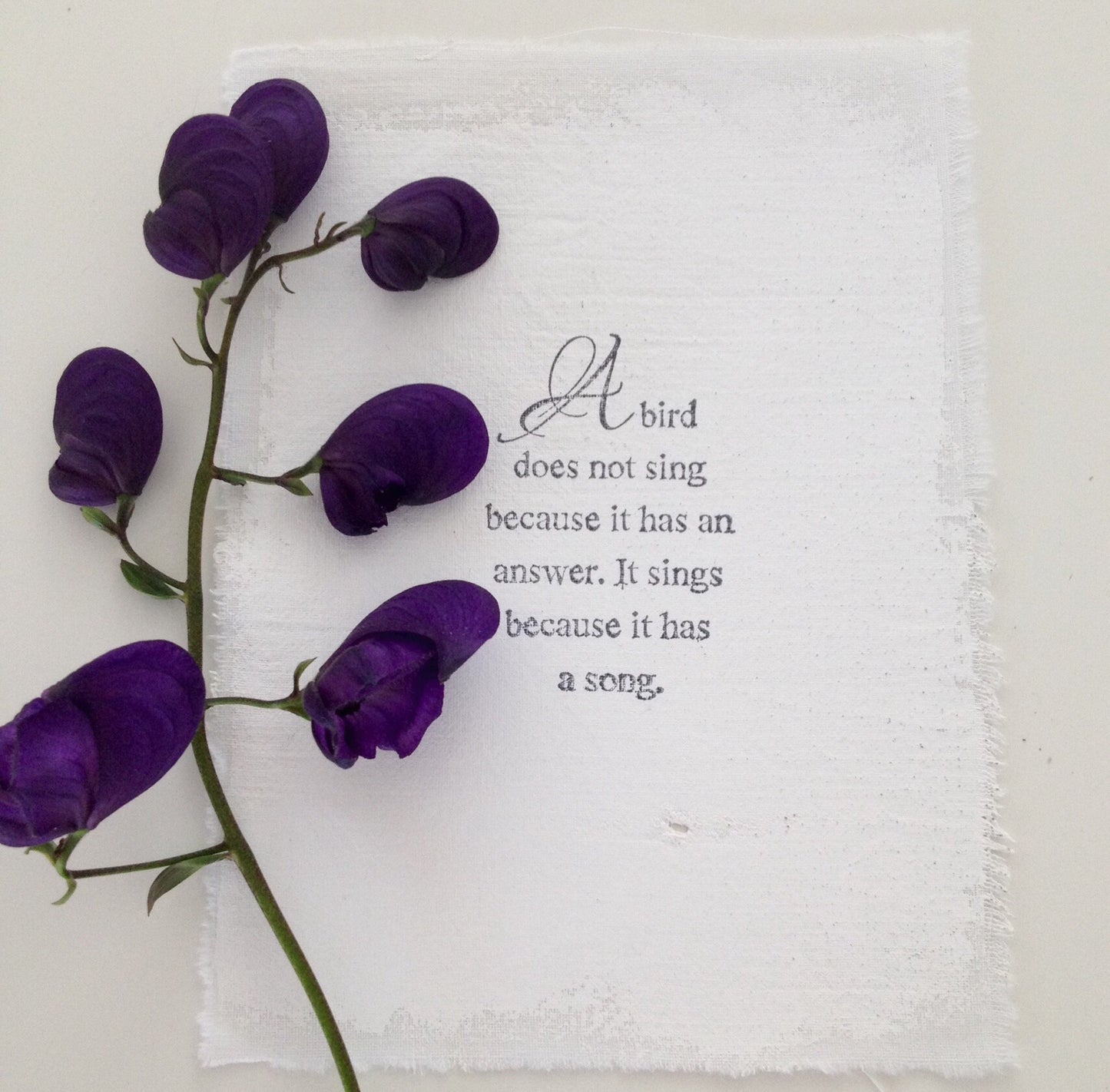 AfroDutchPaperStone - Kaart A bird does not sing